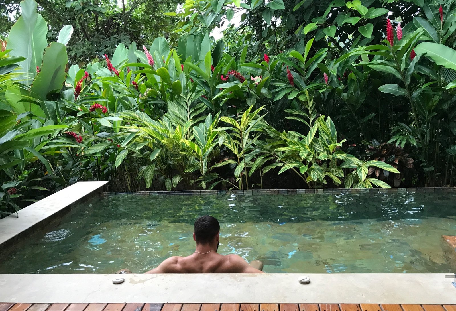 Tico Tours And Adventures Tico Tours And Adventures